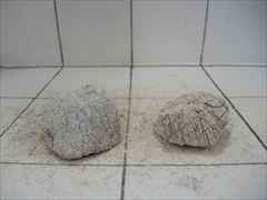 ライケンストーン 2個セット n118