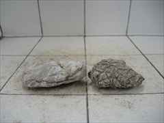 ライケンストーン 2個セット n119