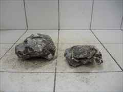 ライケンストーン 2個セット n120