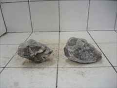 ライケンストーン 2個セット n121