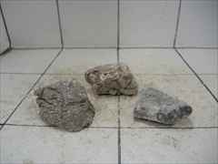 ライケンストーン 3個セット n122