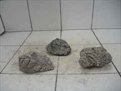 ライケンストーン 3個セット n125