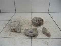 ライケンストーン 4個セット n126